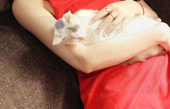 推女神 - 短裙不止是裙子，梁莹Sugar的写真里透着一抹自由的姿态，美图又让我停了一下。