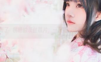 更新了桜桃喵的灰丝照片，一只猫的优雅不容小觑！